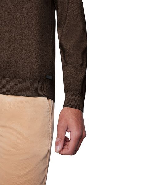 Чоловічий джемпер PIERRE CARDIN 07-50700-5037-8310 &mdash; розмір L 07-50700-5037-8310 фото